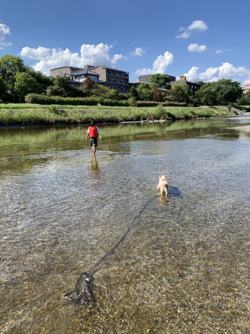 京都の鴨川で遊ぶ写真