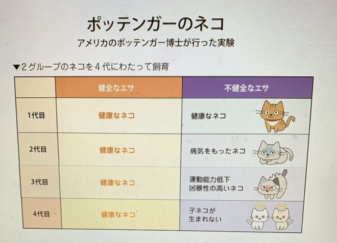 ポッテンガーのネコ