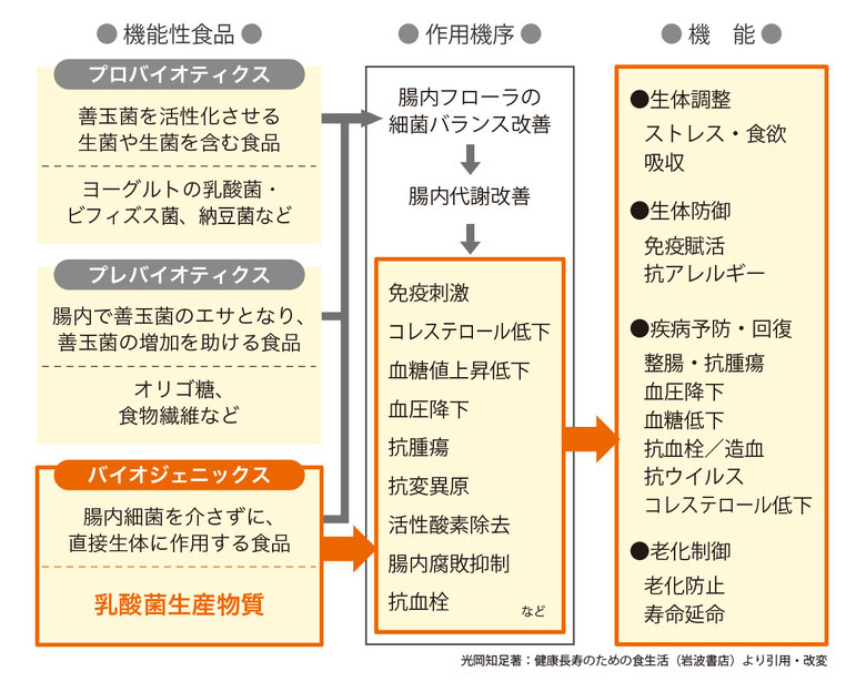 プロバイオティクス、プレバイオティクス、バイオジェニックスの違いの説明